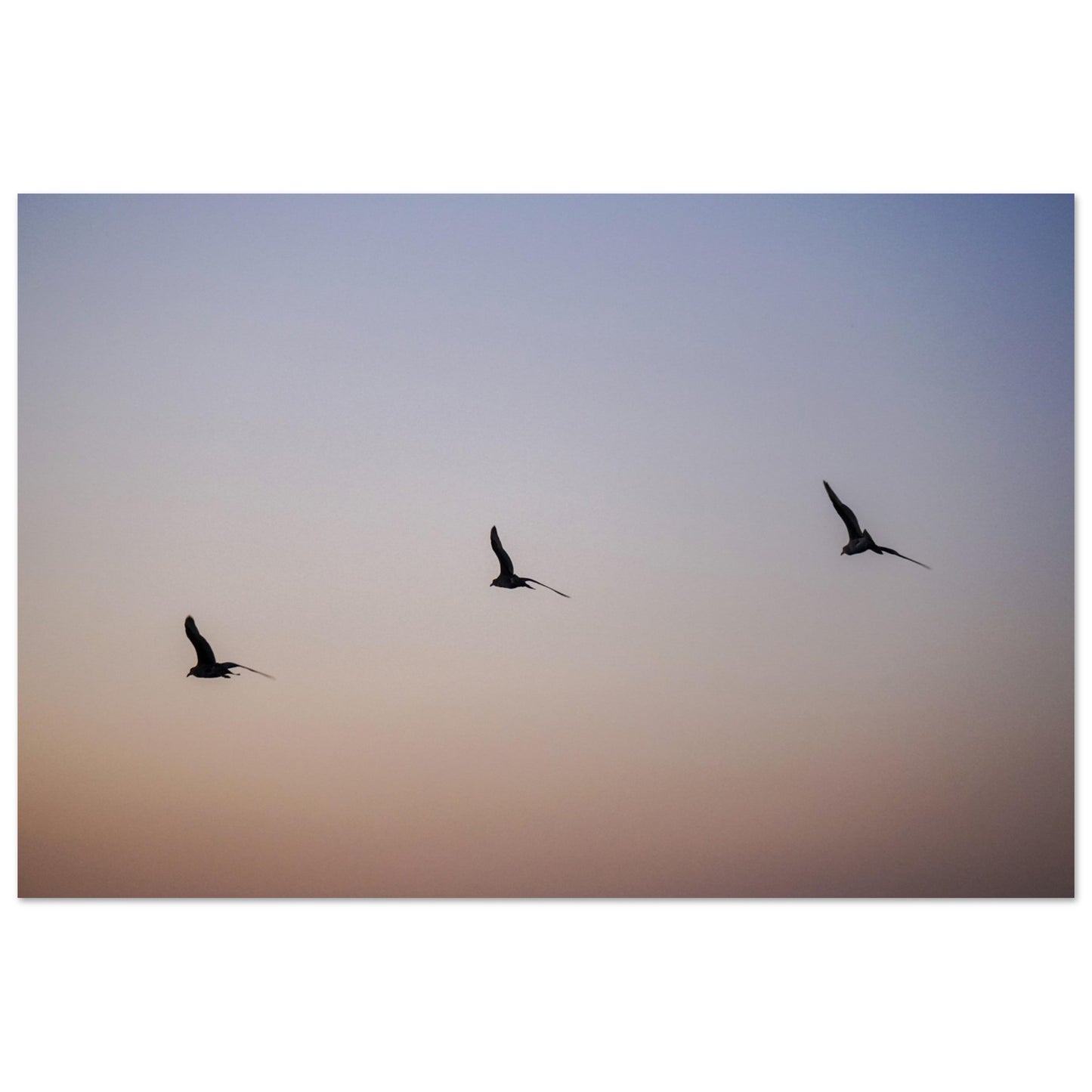 237fa8bb-2ac2-4f69-a634-611c58bdc997